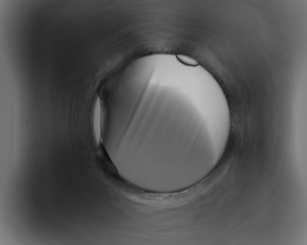 X0000092000023200710041015