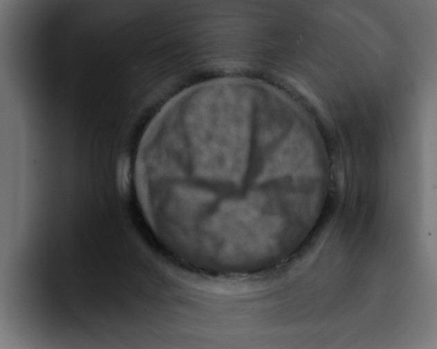 X0000092000024200710041015