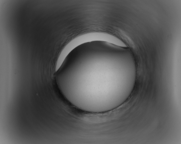 X0000092000025200710041015