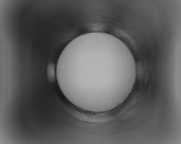 X0000092000028200710041015