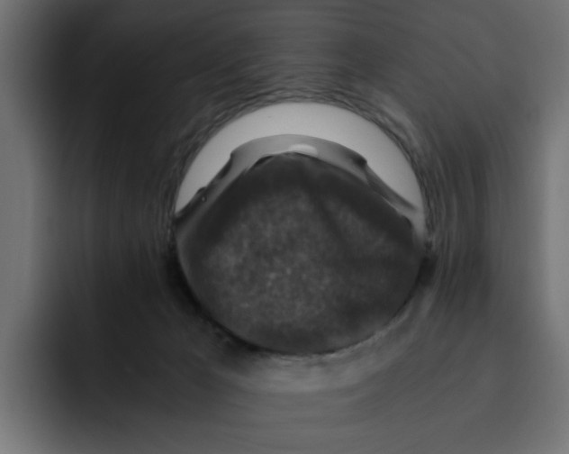 X0000092000029200710041015