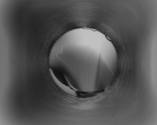 X0000092000031200710041015