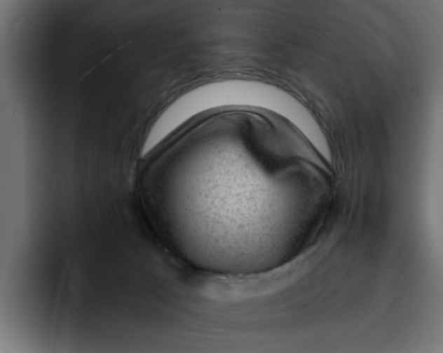 X0000092000033200710041015