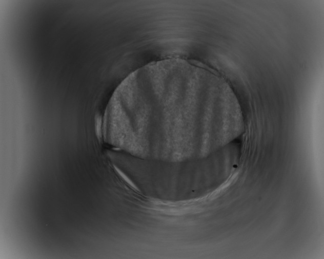 X0000092000041200710041015