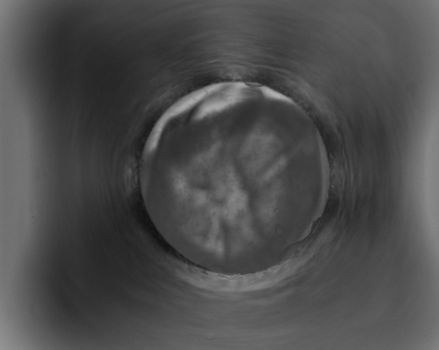 X0000092000043200710041015