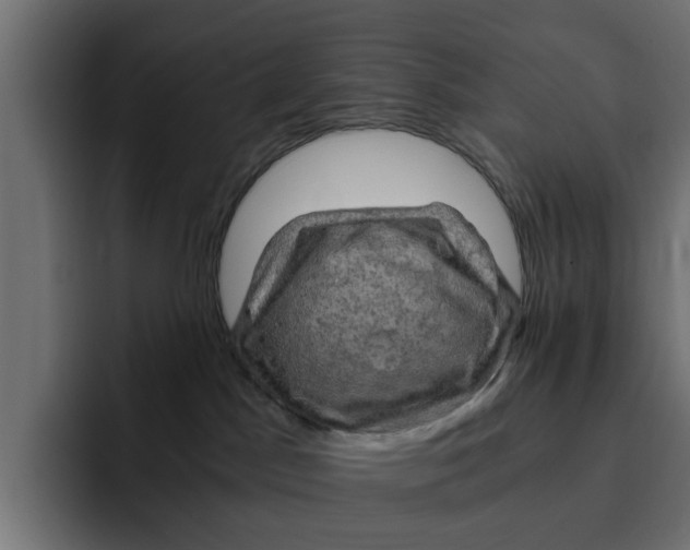 X0000092000045200710041015