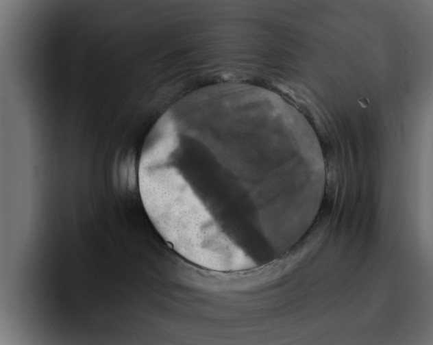 X0000092000046200710041015