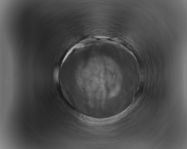 X0000092000047200710041015