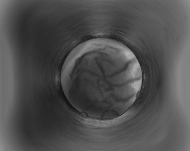 X0000092000048200710041015