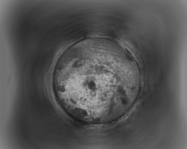 X0000092000049200710041015