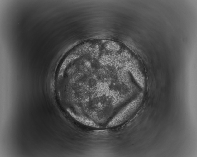 X0000092000050200710041015