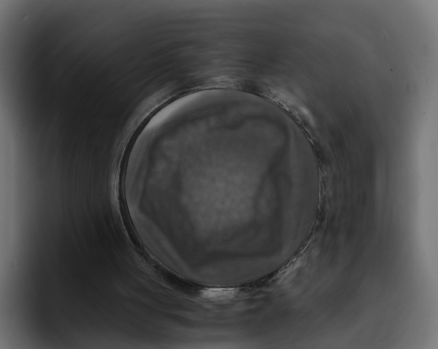 X0000092000051200710041015