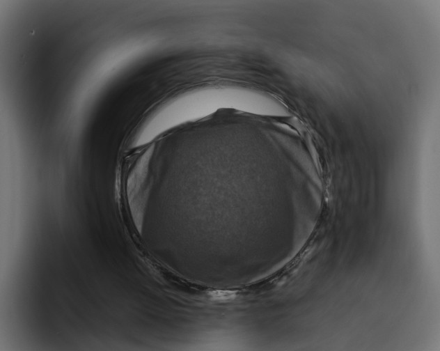 X0000092000052200710041015