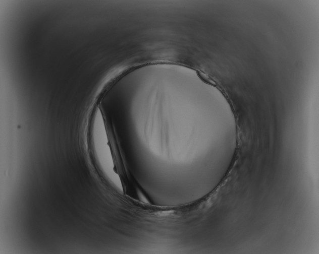 X0000092000054200710041015