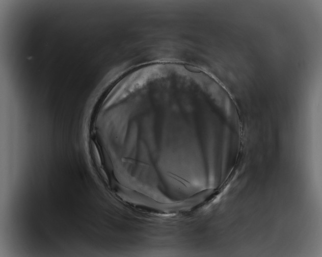 X0000092000055200710041015