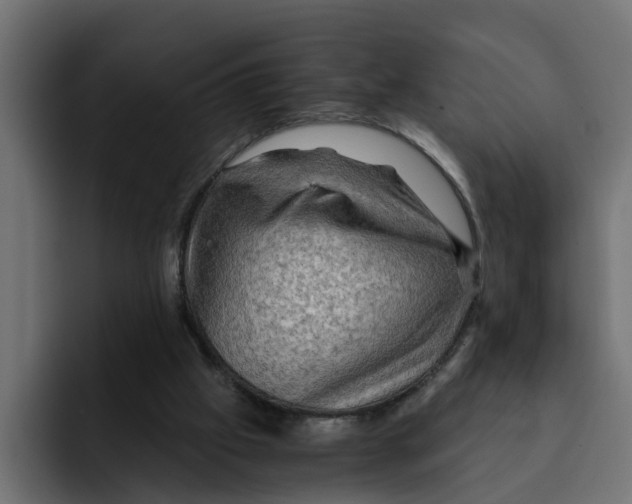 X0000092000057200710041015