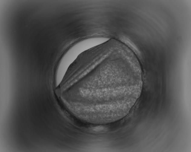 X0000092000058200710041015