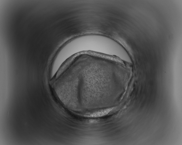 X0000092000060200710041015