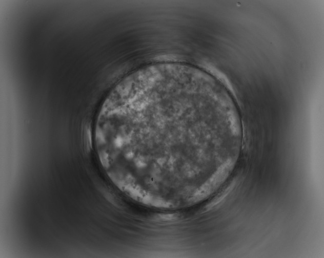 X0000092000061200710041015