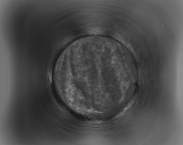 X0000092000062200710041015