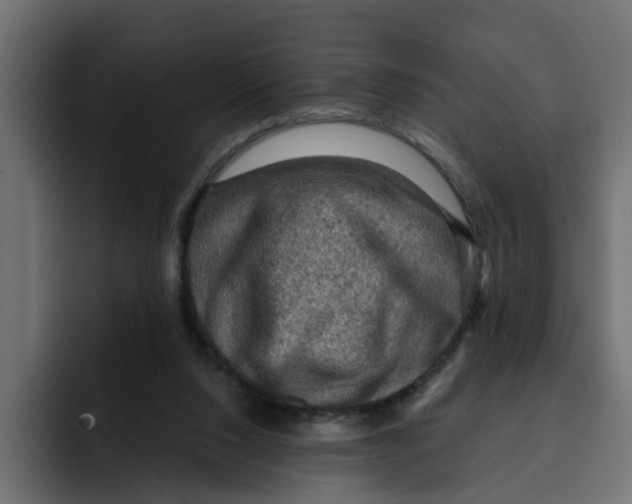 X0000092000064200710041015