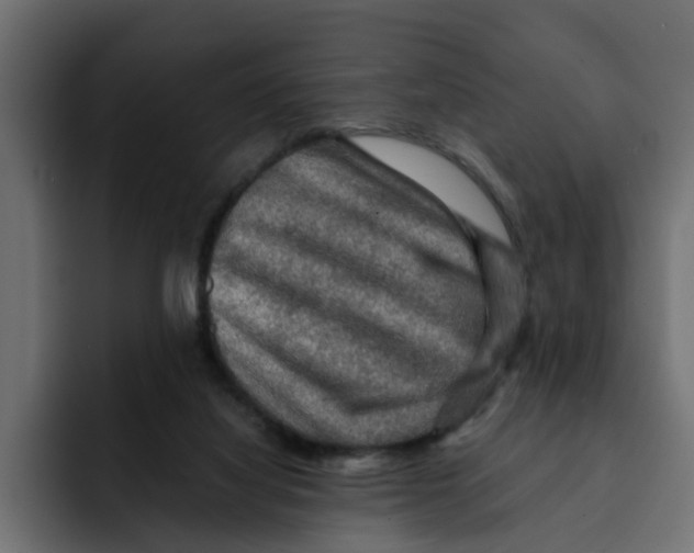 X0000092000068200710041015