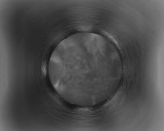 X0000092000069200710041015