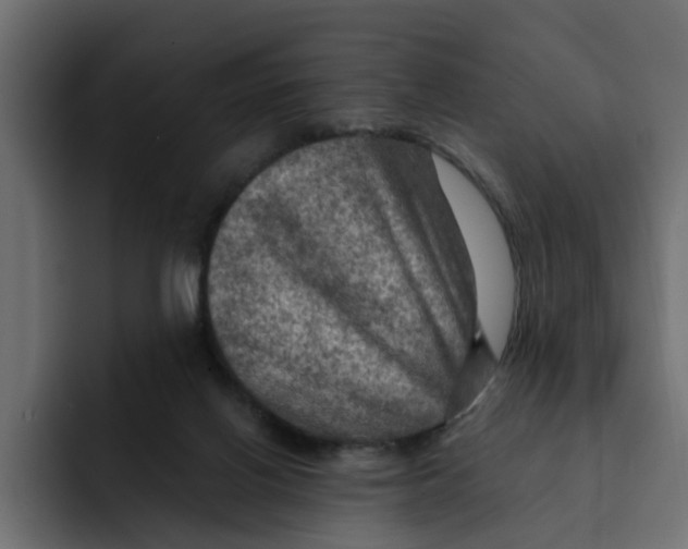 X0000092000070200710041015