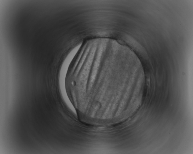 X0000092000072200710041015