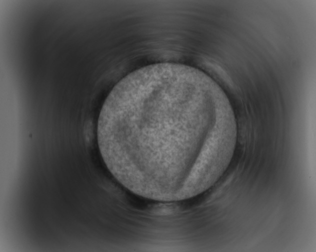 X0000092000077200710041015