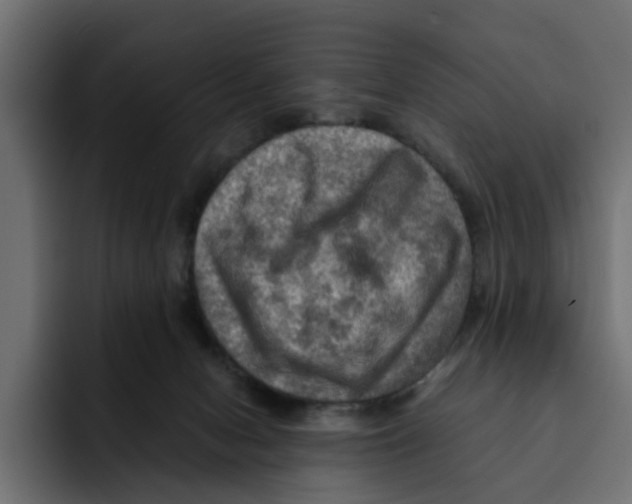 X0000092000078200710041015