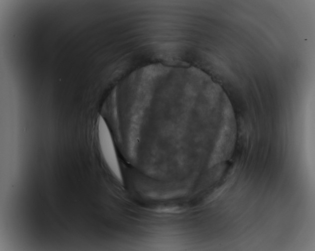 X0000092000080200710041015