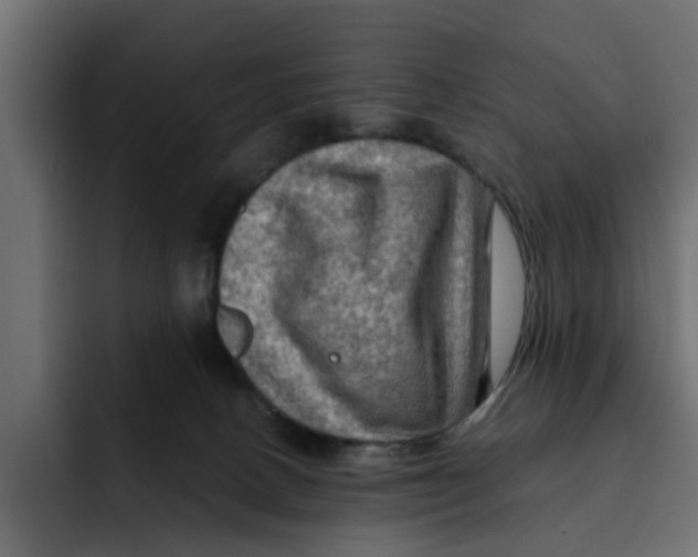 X0000092000082200710041015