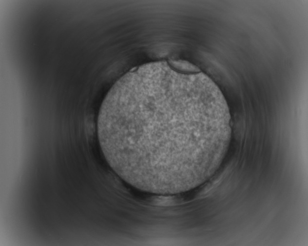 X0000092000085200710041015