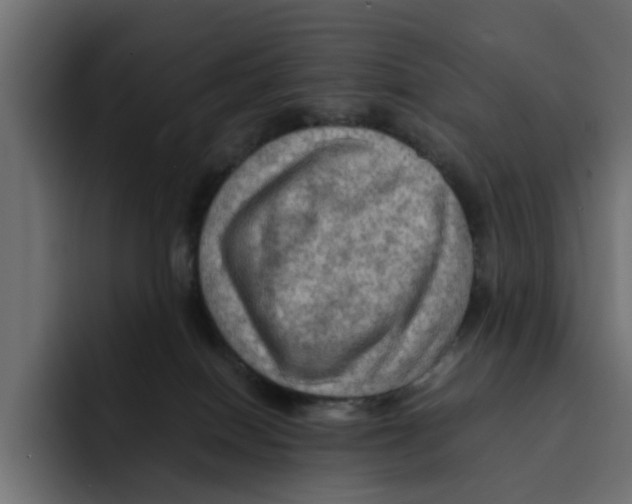 X0000092000086200710041015