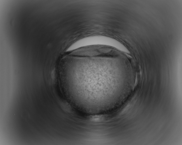 X0000092000088200710041015