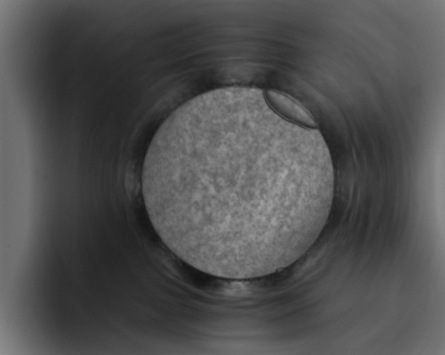 X0000092000091200710041015