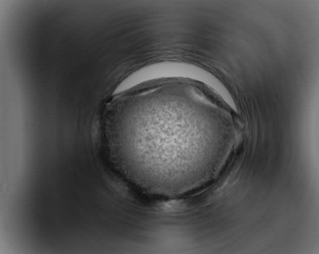 X0000092000092200710041015