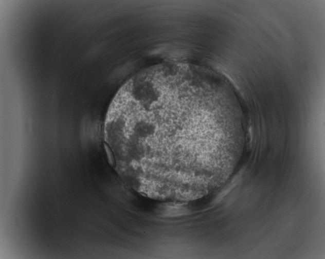 X0000092000093200710041015