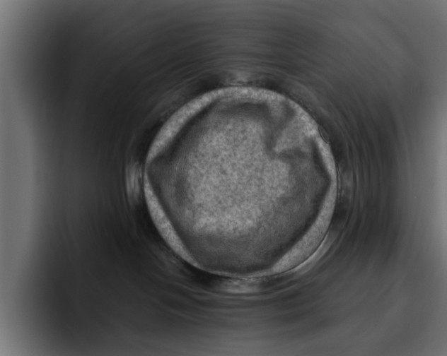 X0000092000094200710041015