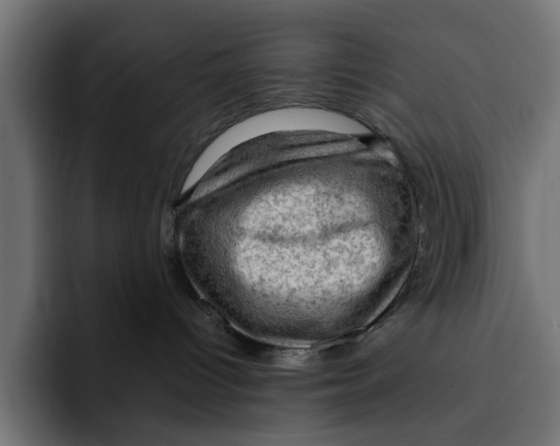 X0000092000096200710041015