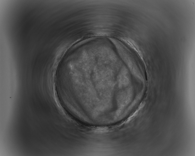 X0000092000097200710041015