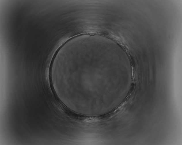 X0000092000099200710041015