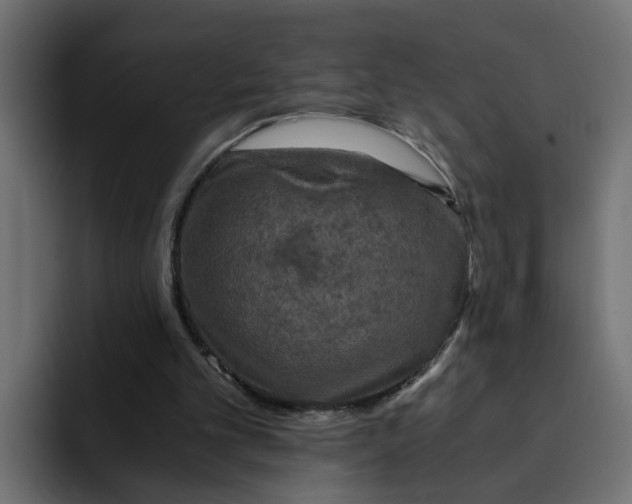 X0000092000101200710041015