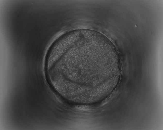 X0000092000104200710041015