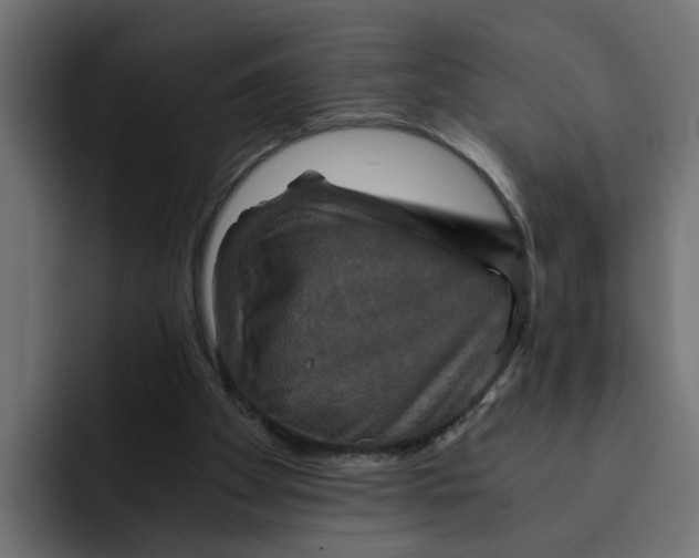 X0000092000105200710041015