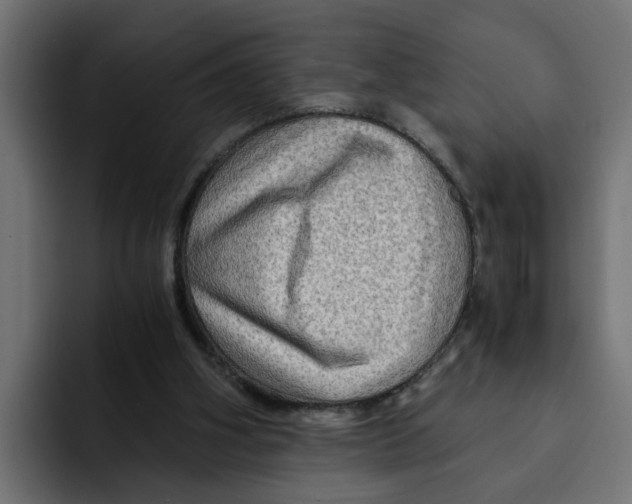 X0000092000106200710041014