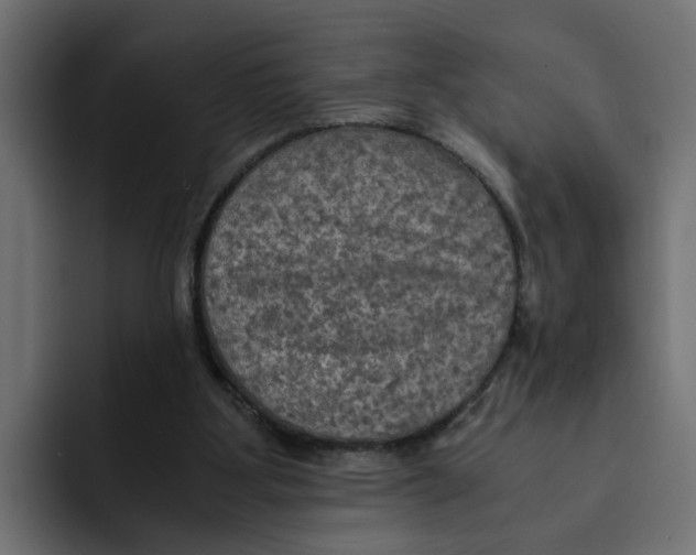 X0000092000107200710041014