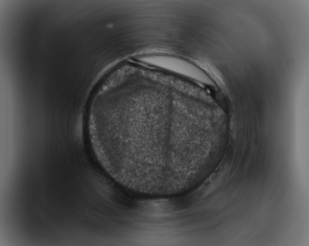 X0000092000108200710041014