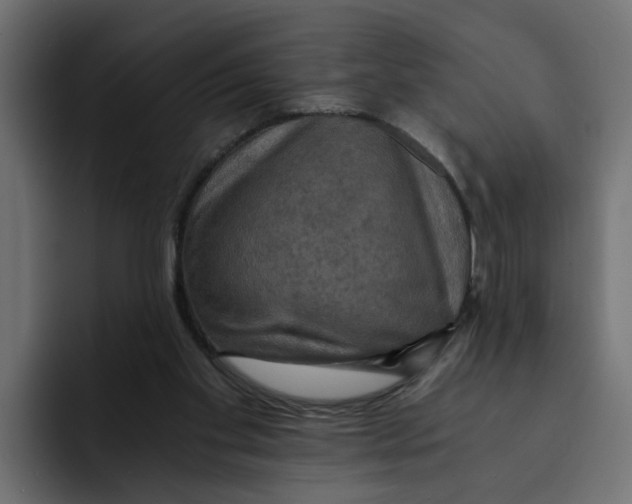 X0000092000109200710041014